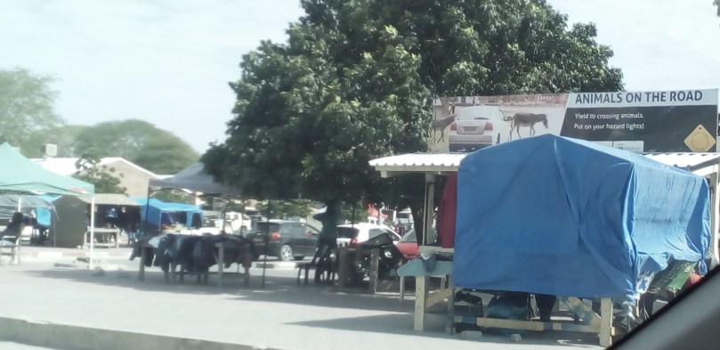 animals on the road lunasonline