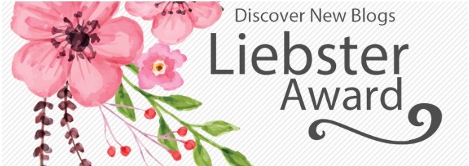 Liebster award nom from Sadje