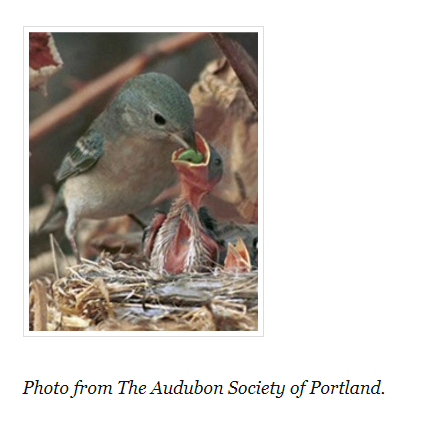 tell the story challenge