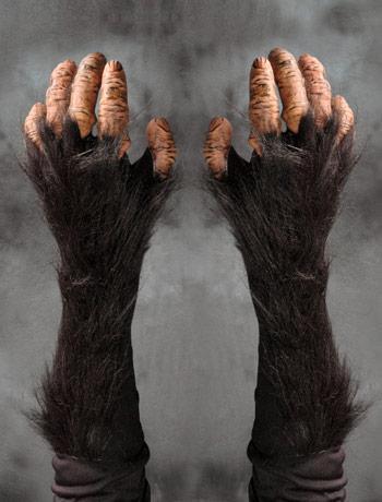 chimp hands