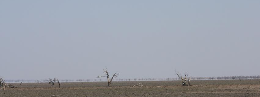 Climate warning by chris hall lunasonline