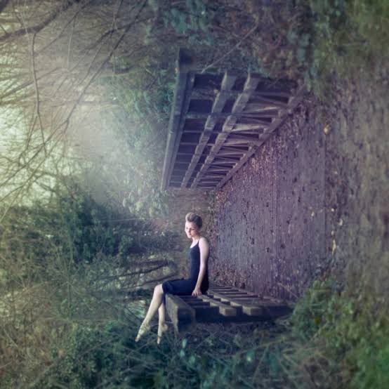 what do you see 5 by chris hall lunasonline