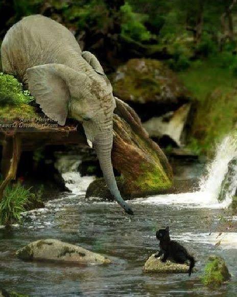 what do you see 9 by chris hall lunasonline