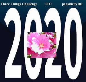 3tc 2020-logo