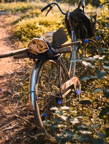 what do you see 18 by chris hall lunasonline