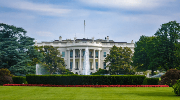 Hollywood and beyond by Chris Hall lunasonline