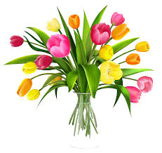 WI competition by Chris Hall lunasonlune