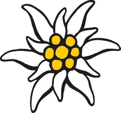 cartoon picture of an edelweiss flower