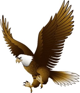 cartoon picture of an eagle