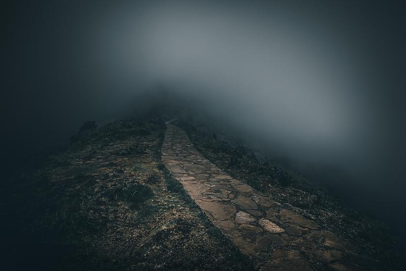 a picture of a foggy pathway