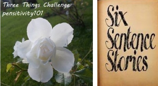 three things challenge and six sentence stories logos