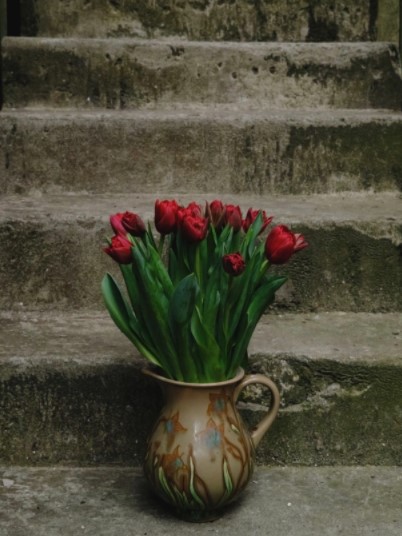 The images shows an earthenware jug filled with red tulips. The jug is sitting on old stone steps.