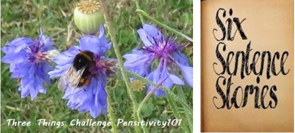 Three Things Challenge and Six Sentence Story logos