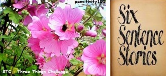 Three Things Challenge and Six Sentence Story logos